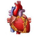 Coronary artery Disease